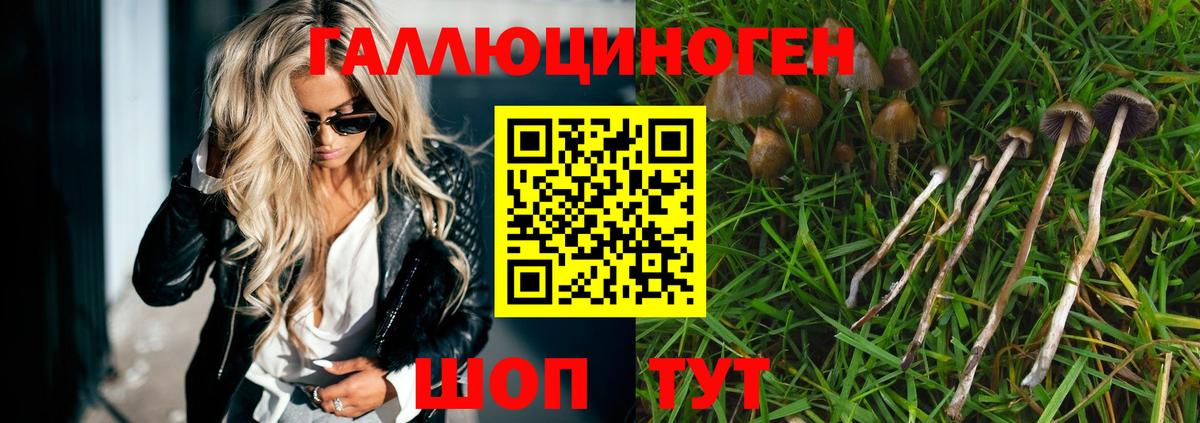 Галлюциногенные грибы Magic Shrooms Дятьково